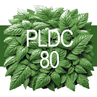 PLDC-80 Dataset